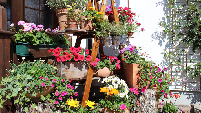 Biergarten im Hotel Gasthof Rössle in Senden bei Ulm